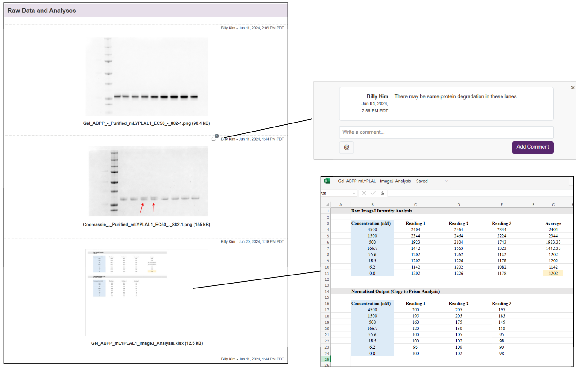5. Raw Data and Analysis.png