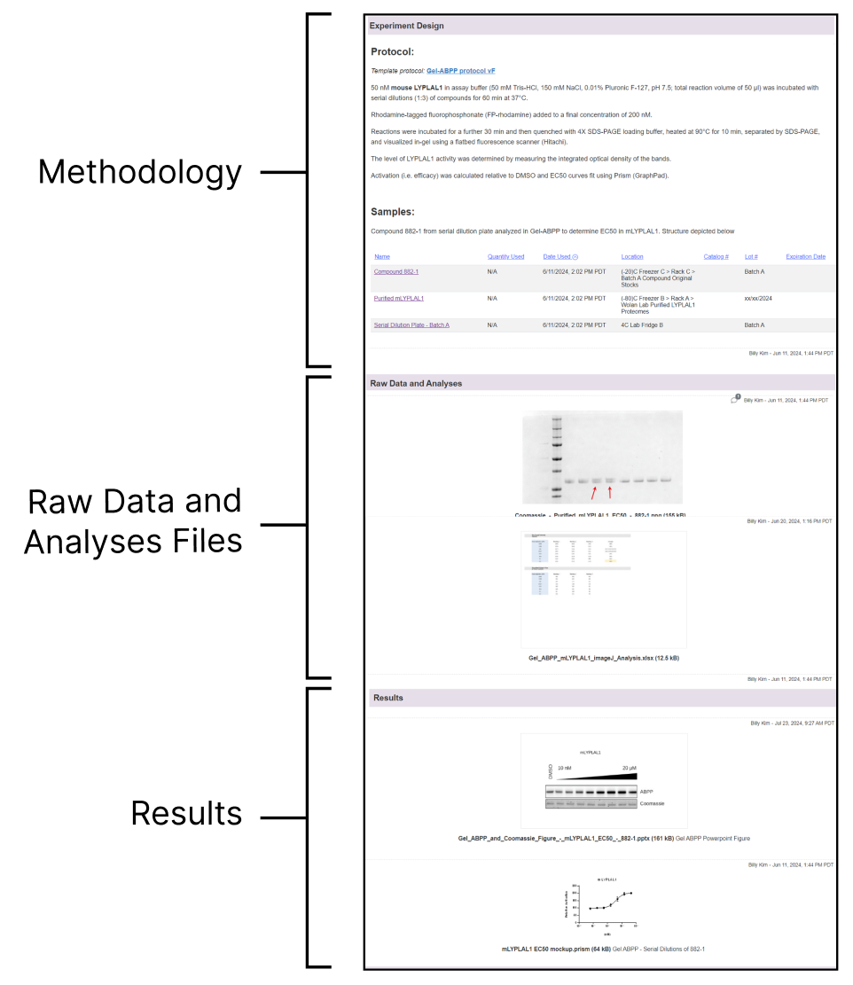 2. Organizing Page Sections.png