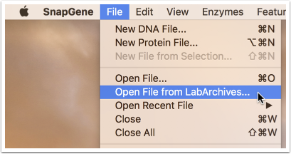 Snapgene_Open_Menu.png