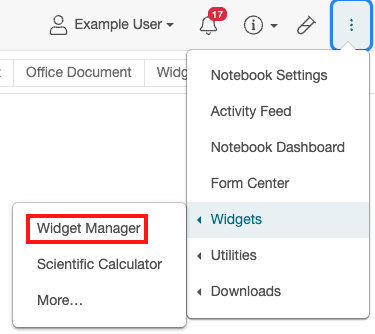 Widget_Manager_Location.png